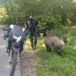 10634139_707539412673691_1295239895_n