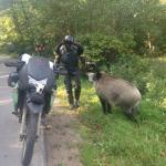 10634139_707539412673691_1295239895_n